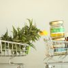 envasado productos cannabis