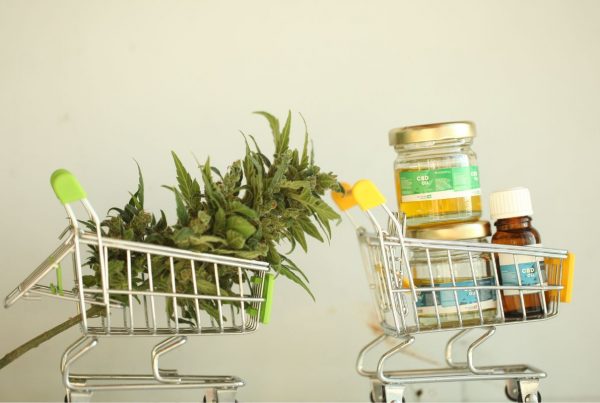 envasado productos cannabis